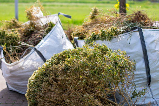 Best Residential Junk Removal  in Meyers, CA